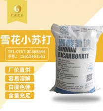 雪花(hua)牌食用(yong)小蘇打(da)