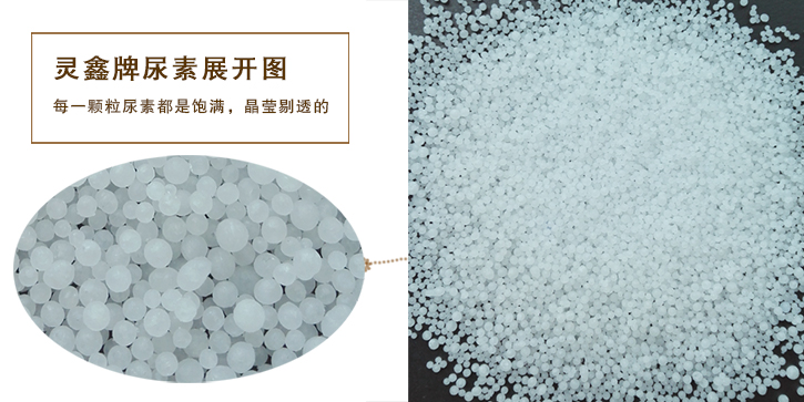 靈鑫(xin)牌尿素(su)